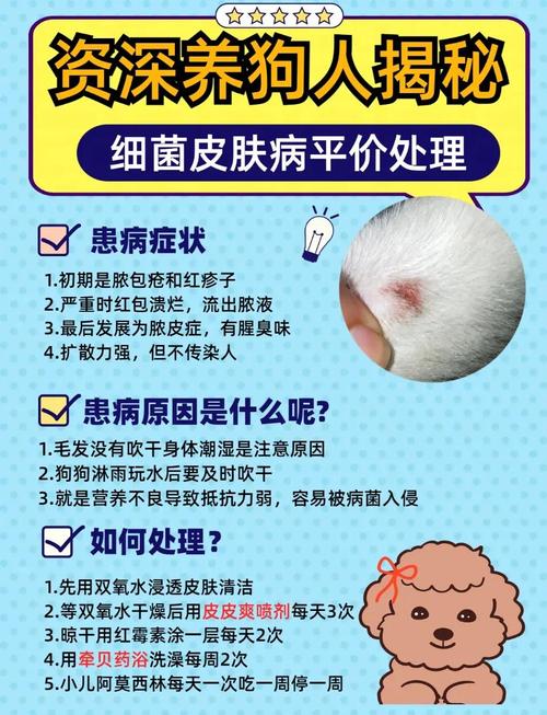 治疗狗狗皮肤病多少钱