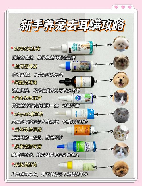 猫咪去宠物店治耳螨要多少钱