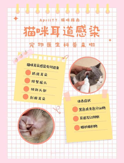 猫咪有耳螨要怎么清理