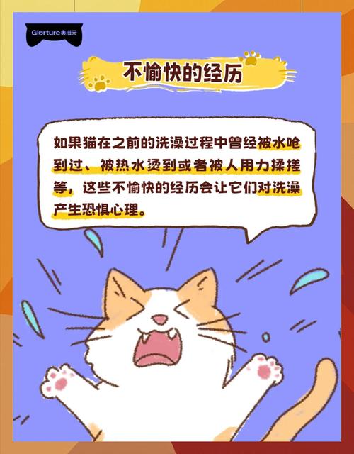 为什么猫咪讨厌洗澡