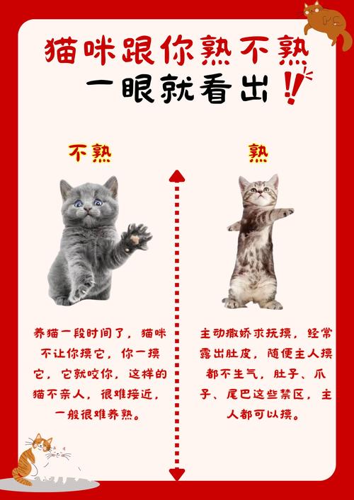 小猫多久张开眼睛能开始自己吃饭