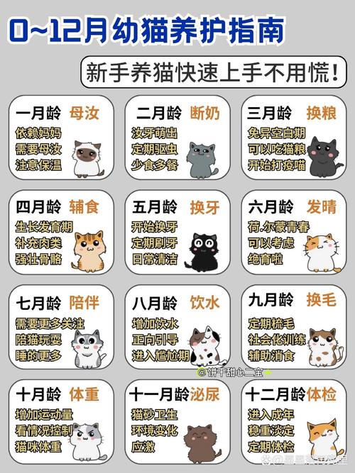 猫长到几个月就不长了