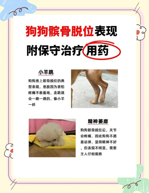 狗髌骨脱位的具体表现是什么