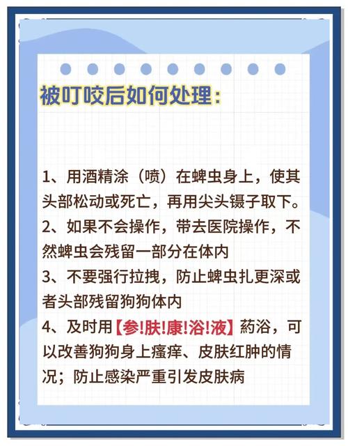我家狗狗身上有蜱虫,怎么解决?!