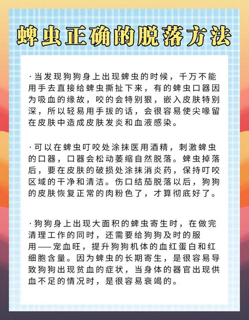 怎样杀死狗身上的蜱虫,跳骚。比较好是内服药!谢谢!