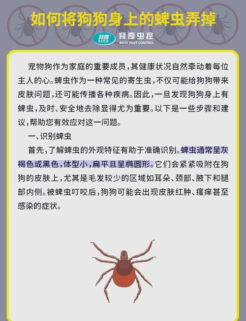 狗狗身上有蜱虫体外驱虫能去掉吗