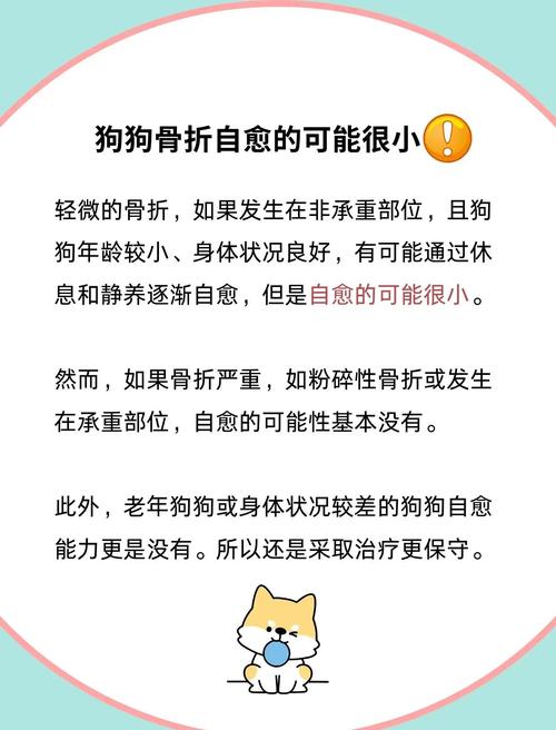 狗狗骨裂了能自愈吗