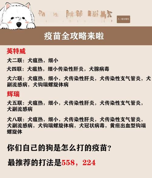 狗狗每年都要打疫苗吗都打啥疫苗