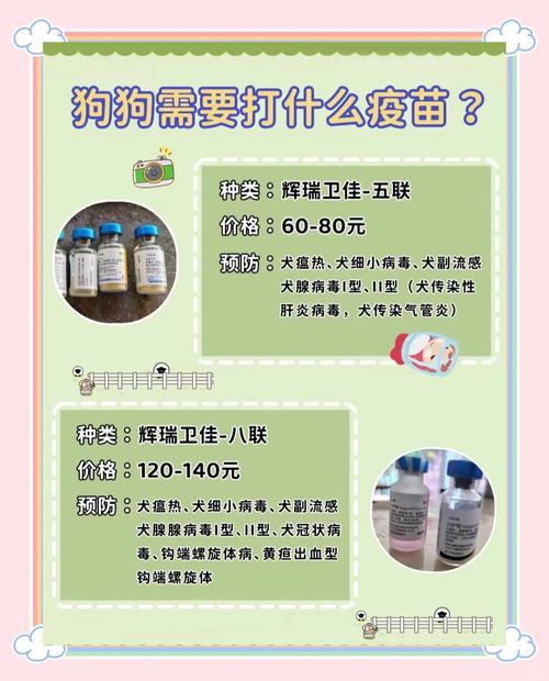 狗狗每年都需要打什么针