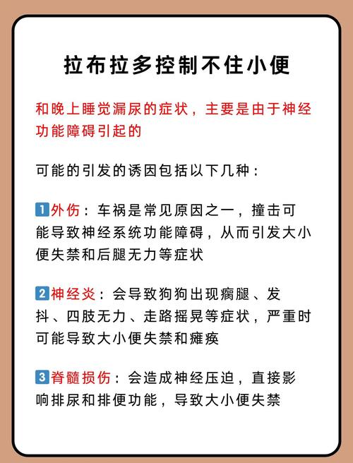 狗狗漏尿是怎么回事啊