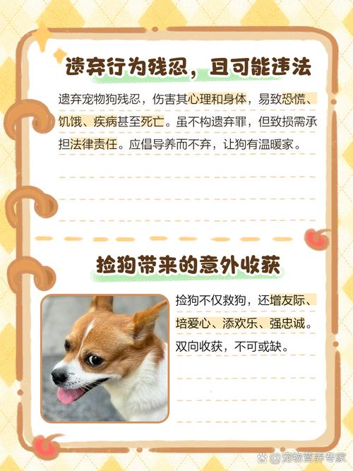 捡来的狗狗怎么看年龄