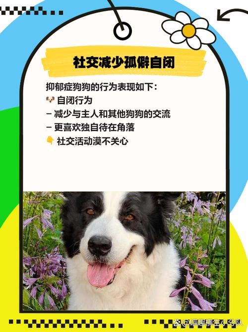 狗狗得了抑郁症的表现有哪些?