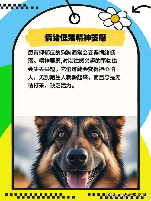 狗狗得抑郁症了有什么症状