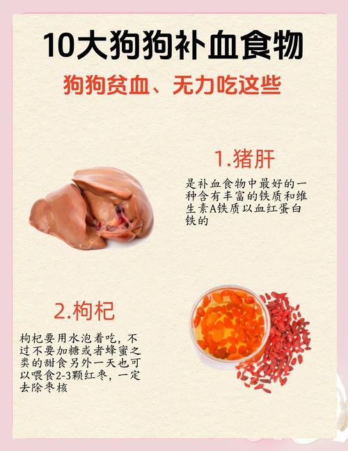 狗狗贫血吃什么补血最快?