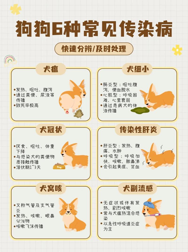 怎么知道狗狗有没有生病