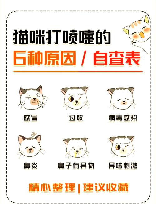 猫咪偶尔会出现这种像喷嚏又像吐东西的动作,是怎么回事?