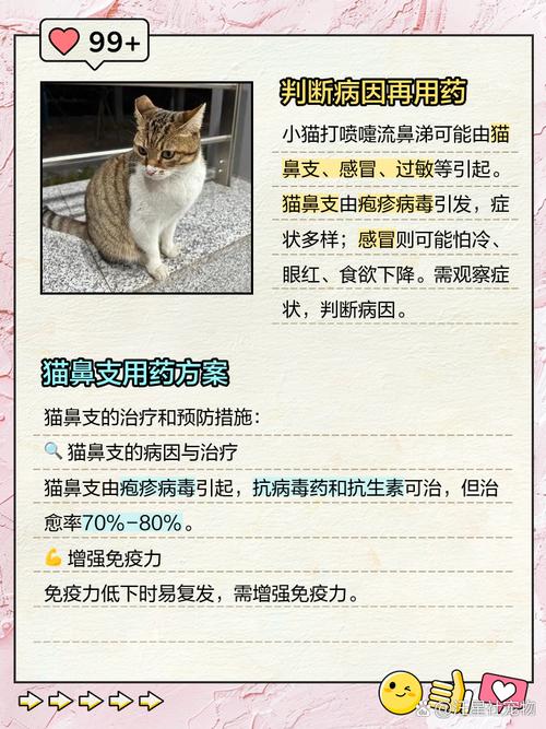 猫猫打喷嚏流鼻涕应该喂什么药?