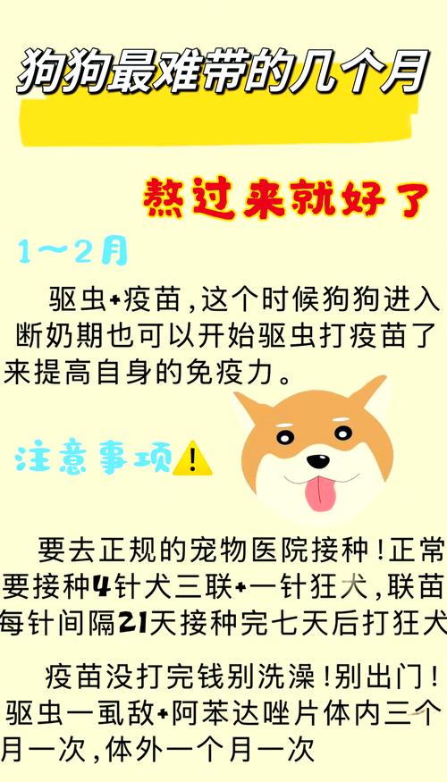 狗狗不打疫苗有什么影响