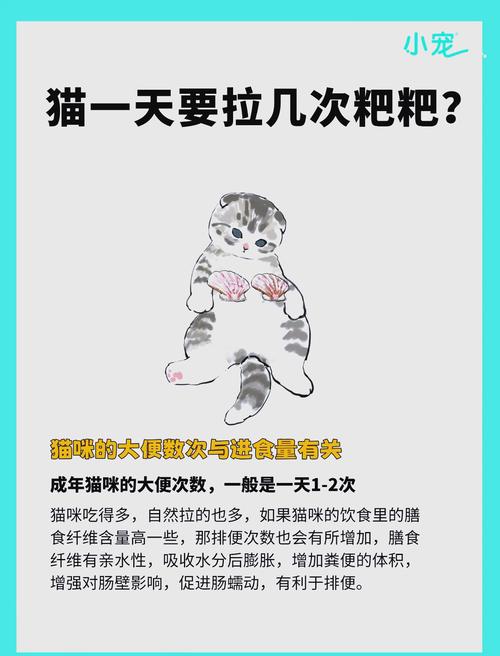 小奶猫人工排便多久一次正常