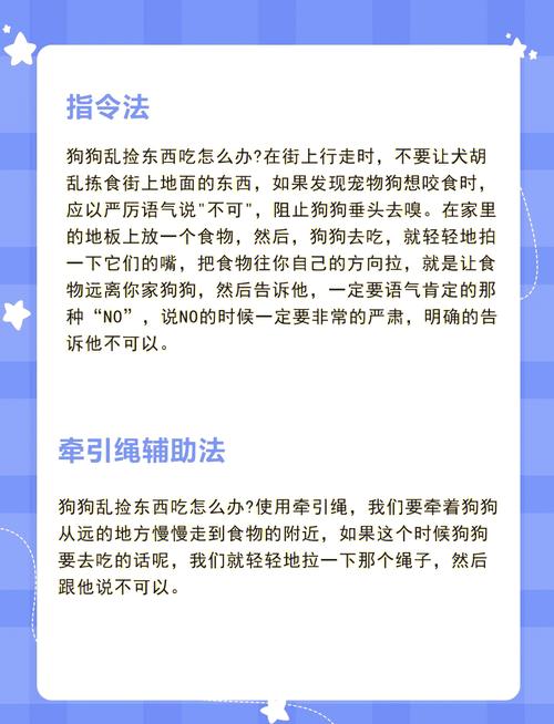 狗狗在外面总是乱吃东西怎么办