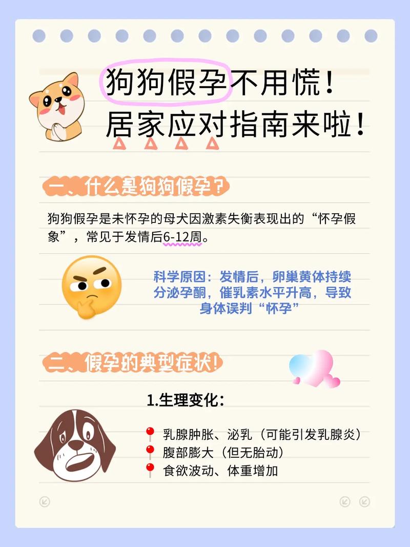 怎样让狗狗不怀孕