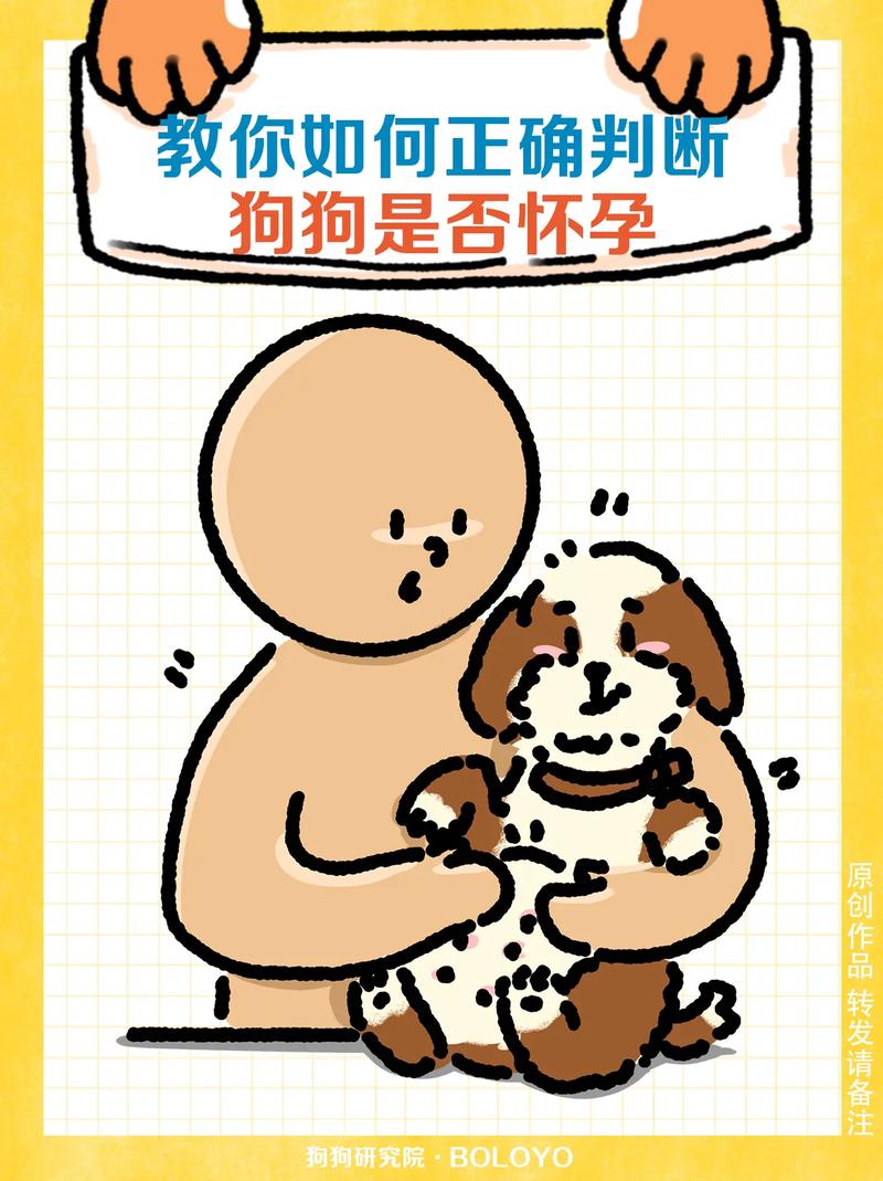 防止狗狗怀孕的土方法