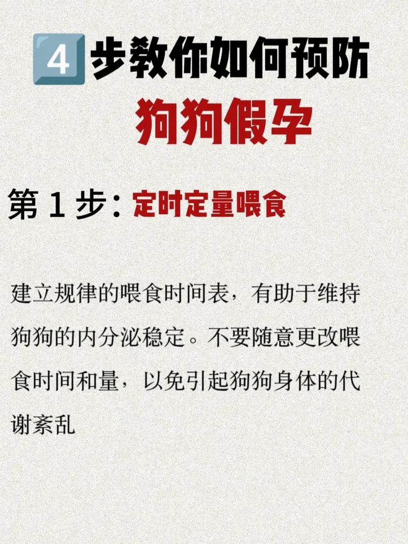 如何避免狗狗意外怀孕?