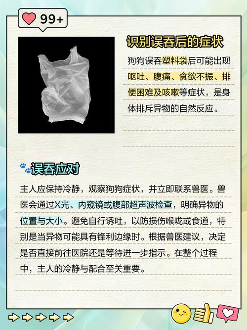 猫咪死后多久可以埋