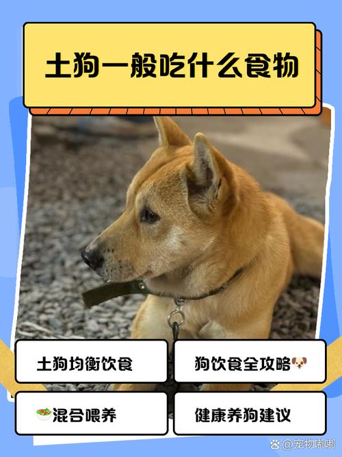 土狗能吃什么食物?