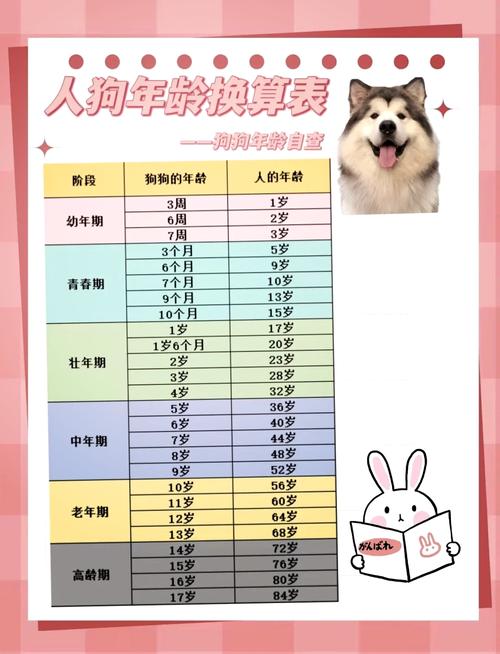怎么看狗狗的年龄怎么判断狗狗的年龄