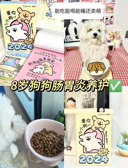 狗狗肠胃炎在家自救方法