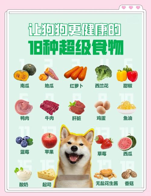 狗狗一般都吃什么