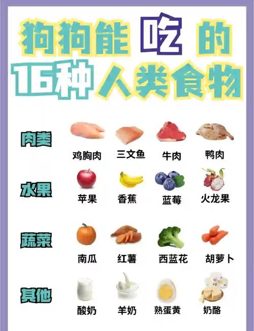 狗狗可以吃什么人类食物