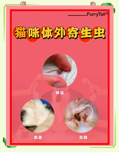 猫咪身上有很多红色的条状虫子,该怎么治疗?