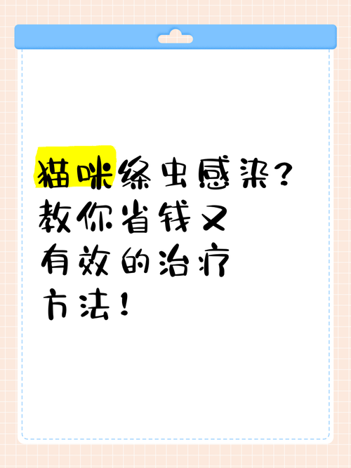 猫咪感染绦虫怎么办?