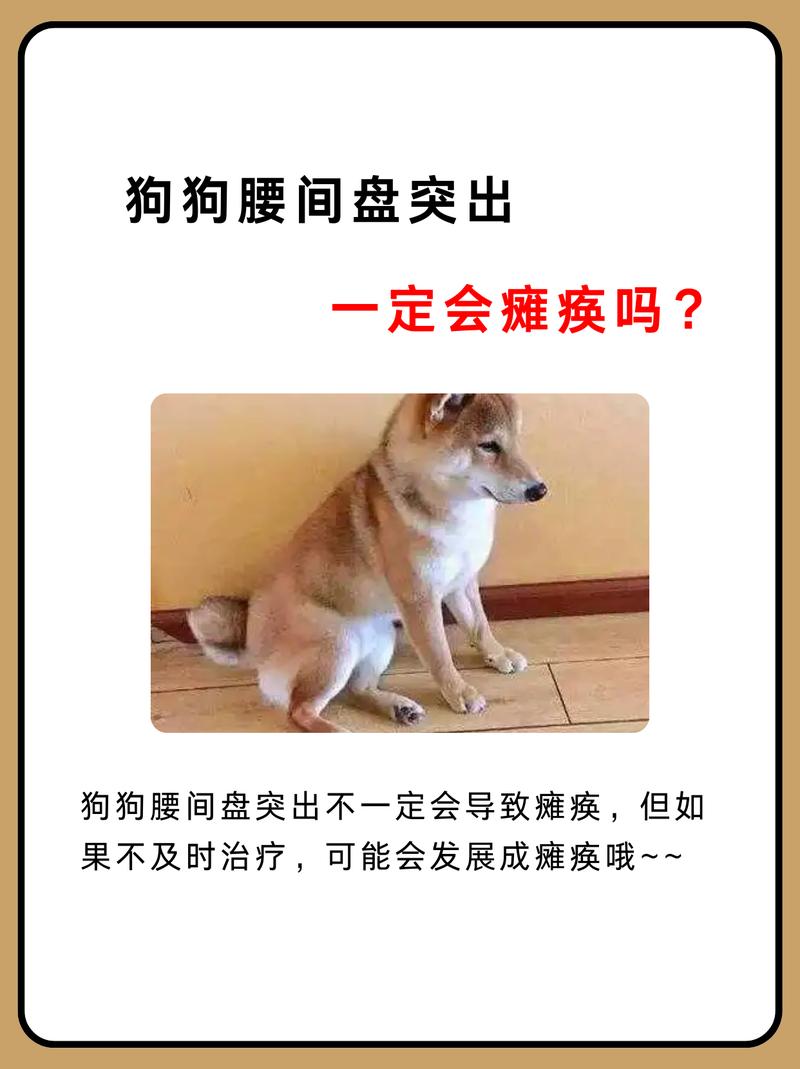 怎么确定狗狗是否掉腰子了