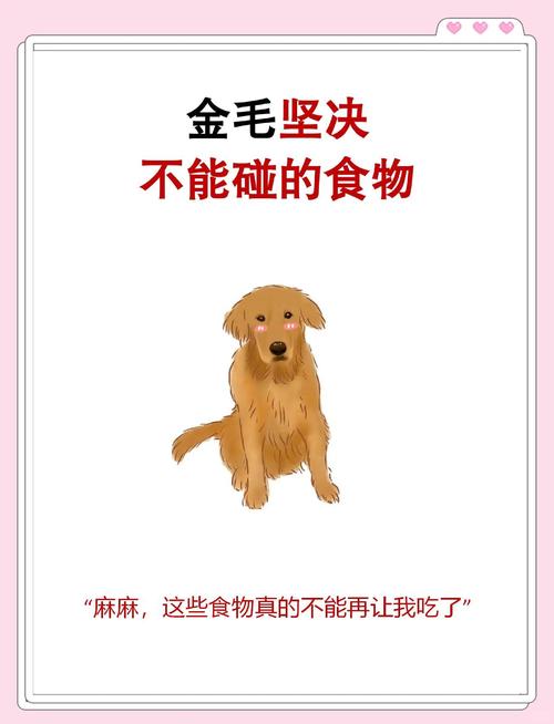 我家狗狗趁我不注意偷吃了一个柿子,怎么办呀,会有什么不好的后果么...