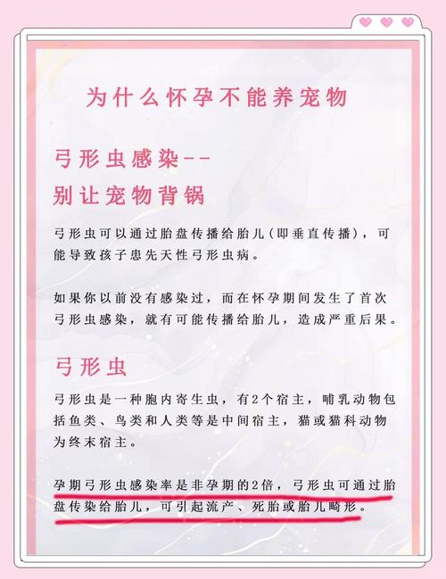 请问在哪里可以给狗狗做弓形虫检查,人用做什么相应的检查吗?