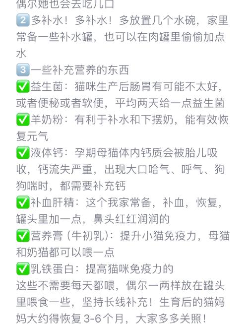 猫咪坐月子要多少天