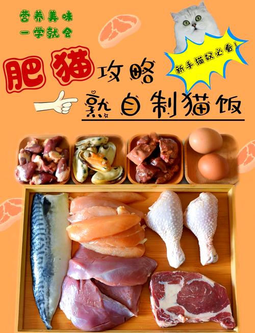 馒头拌鸡肉喂猫可以吗