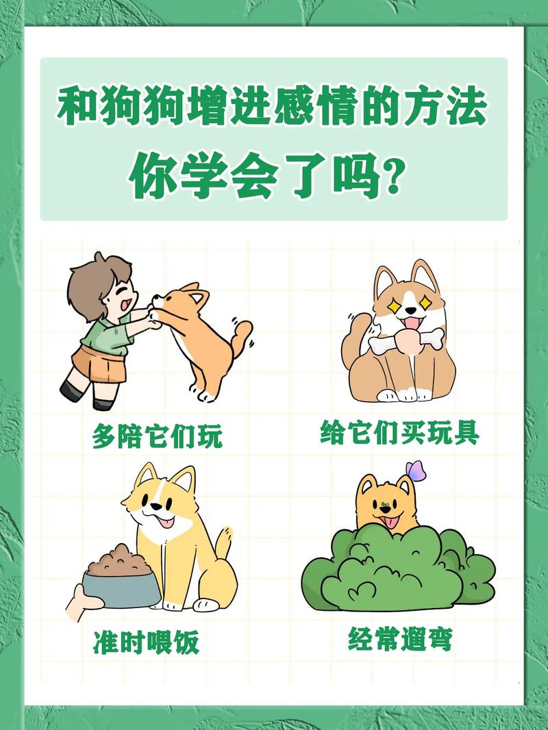 怎么和小狗狗快速培养感情