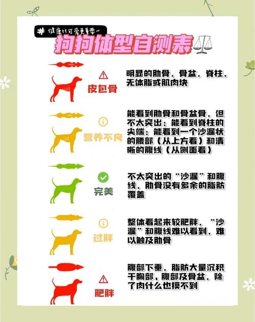 如何判别狗狗是否健康?