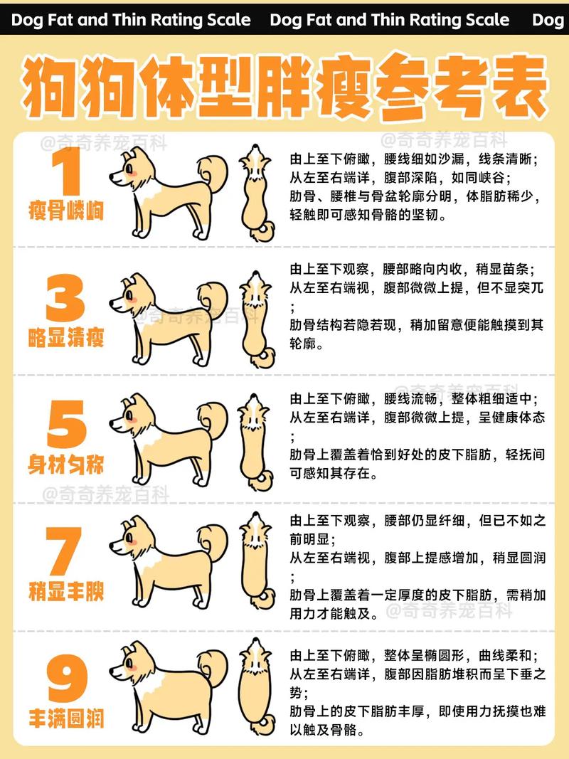 狗狗多大才不长个子?