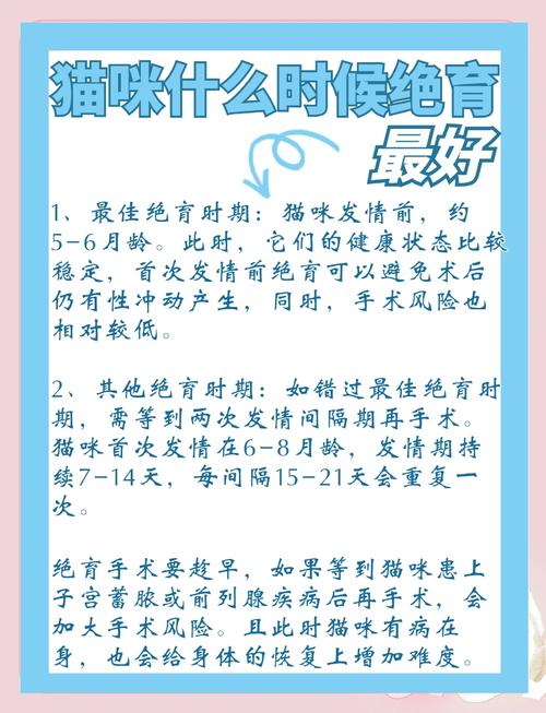 猫什么时候绝育