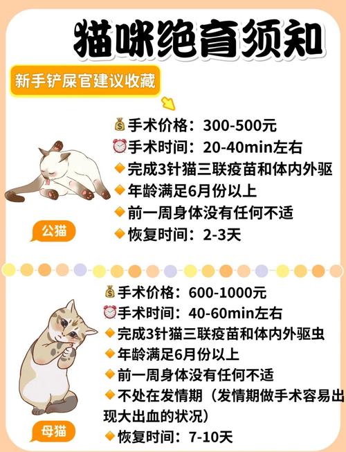 猫哪个季节绝育比较好一点