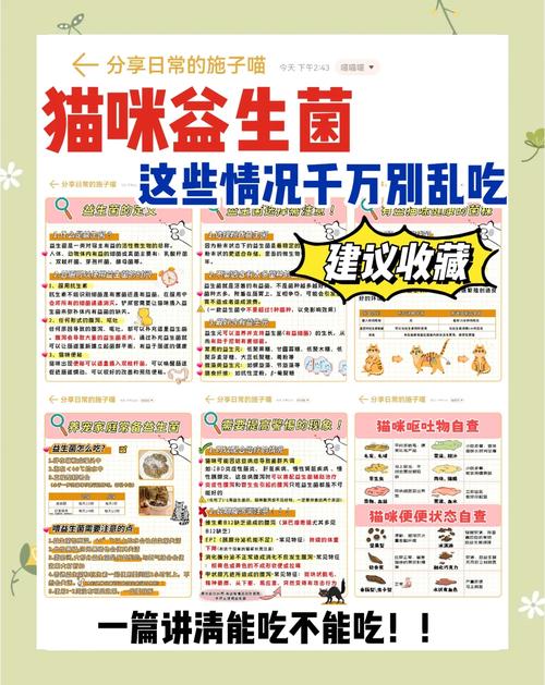 猫咪呕吐吃益生菌有用吗