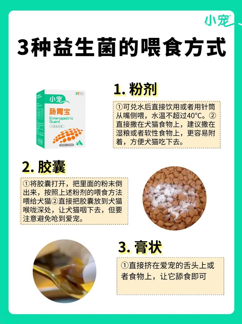 猫咪益生菌对其有哪些好处呢?