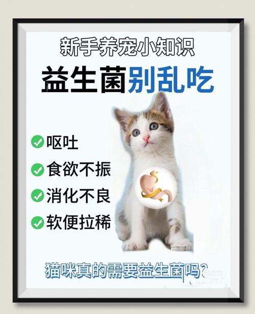 十几天的小猫能吃益生菌吗