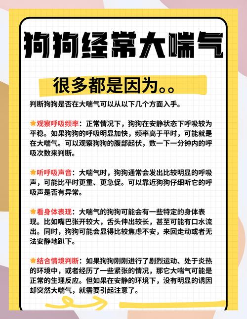 狗狗总是“哈哈”的喘气,是怎么回事啊?