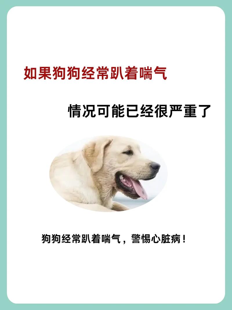 狗狗老是喘气怎么回事